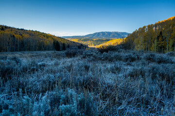 Frosty meadow at sunrise with autumn trees and mountains in Colorado, USA. Fall season landscape showing morning light, frozen grass, and colorful forest with blue sky. Scenic seasonal travel backgrou