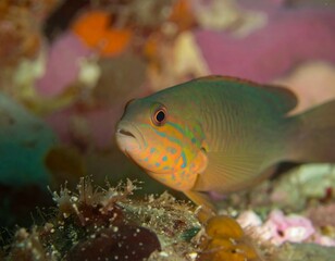 Vibrant fish in underwater scene (1)