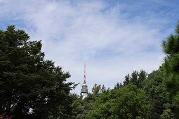Obraz premium flags on the tower