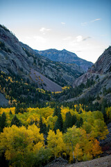 Crested Butte Mountain with Vibrant Fall Colors | Autumn Aspen Trees, Scenic Colorado Landscape,...