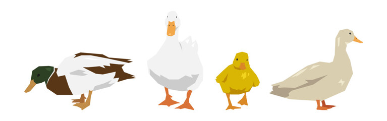 Set of duck in geometric shape. Flat vector illustration.