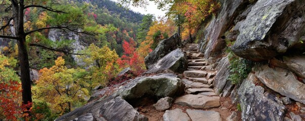 Autumnal mountain trail with colorful foliage and stone steps