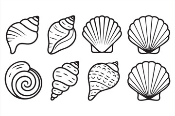 Seashell vector pack with spiral and marine shell illustrations