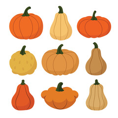 Collection of Pumpkins Different Types in Vector. Hand Drawn Vector Art