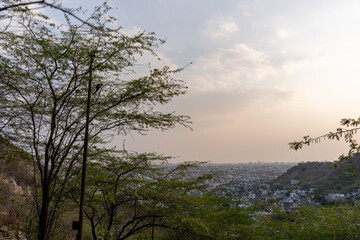 Sunset View of Jaipur City Through Trees with Bird on Pole, Rajasthan, India