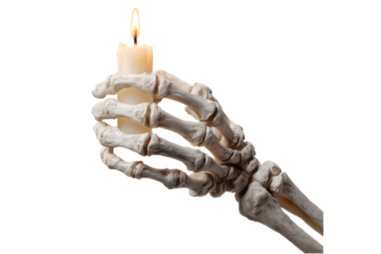 A Halloween skeleton hand holding a burning candle, isolated on a transparent background.