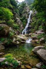 Lush waterfall cascading into a tranquil pool (4)