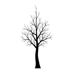 Striking Silhouette of a Bare Tree Against a Clean White Backdrop, Perfect for Illustrating Winter, Nature Studies, or Minimalist Design Projects.