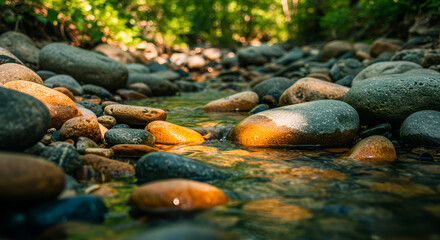 Fototapeta premium Sunlit stream flowing over smooth rocks, creating a peaceful nature scene
