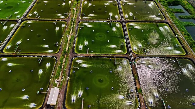 Aerial over the lobster farming at Amed, Bali, Indonesia.