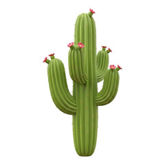 Saguaro cactus with flowers isolated on transparent background in desert