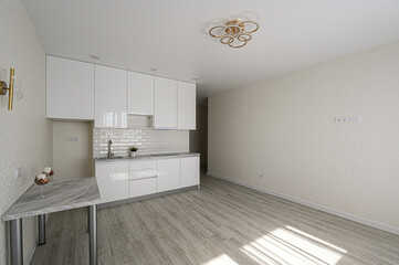 Bright, modern kitchen with white cabinets, gray countertop, light wood-look floor, and minimal decor. Clean and spacious design