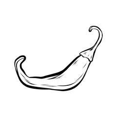 Chili line drawing. It is a vector illustration.
