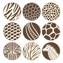 set of abstract vector spheres