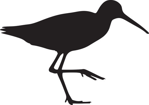Silhouette of a wading bird with long legs and beak