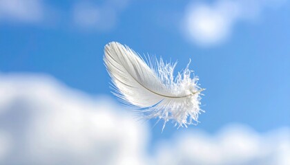 Naklejka premium White Feather in Blue Sky