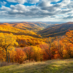 Fototapeta premium Enchanting mountain forest glowing in autumn golden sunlight high resolution picture