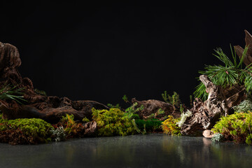 Northern natural composition with lichen, moss, pine branches and driftwood.