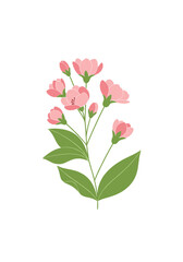 Fototapeta premium Delicate pink blossoms on a green stem illustration for spring