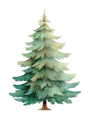 Obraz premium PNG Watercolor evergreen tree illustration.