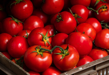 some red tomatoes are sitting in the basket on a table