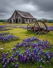 Rustic Barn and Wheels with Wildflowers