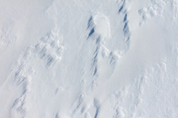 The snow is white and the ground is covered in it