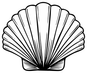Graphic rendition of a Seashell.  Vector monochrome illustration of scallop shell on a white background.