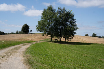 Feld- und Wanderweg mit einer Bank unter Bäumen 2