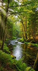 Obraz premium Serene Forest Stream - Sunlight Filtering Through Lush Greenery.