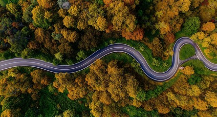 Autumnal Winding Road Through Colorful Forest.