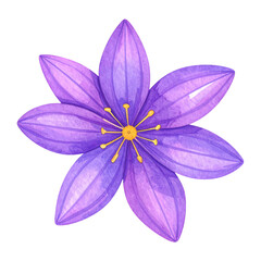 Watercolor Purple Flower on Black