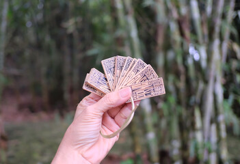 A hand holding a small, rectangular pieces of bamboo used as tokes or currency at Papringan Market,...