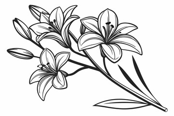 lily of the valley