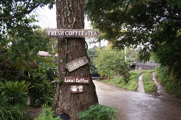 sign in the forest
