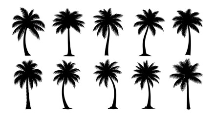 Fototapeta premium Set of Palm Tree Silhouettes on a White Background