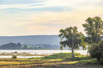 Lake landscape with a tree grove