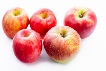 サンつがるとチーキー