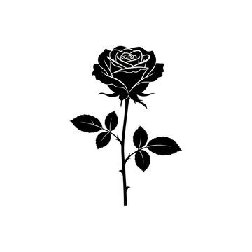 Naklejki Vector art of elegant black rose silhouette