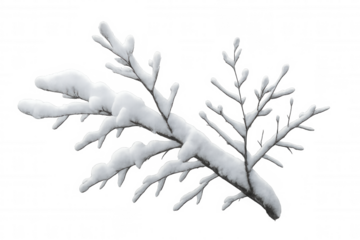 Realistic snow covered branch isolated on transparent background, perfect for winter and holiday designs