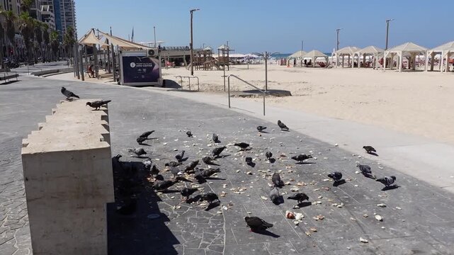 Tel Aviv in Israel the city with most beautiful beaches and view of historic old Jaffa and landmarks