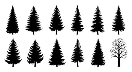 Obraz premium Set of Pine and Fir Tree Silhouettes on White