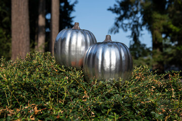 Sun glare bounces off of silver hand-painted metallic pumpkins set against a blue sky with large...