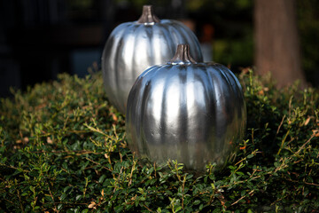 Two chrome-plated silver metallic pumpkins sit atop a bush in an autumn scene. They represent modern aesthetics, a shiny future and a technologic halloween.