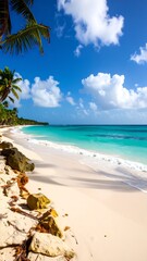 Tropical Beach Paradise (4)
