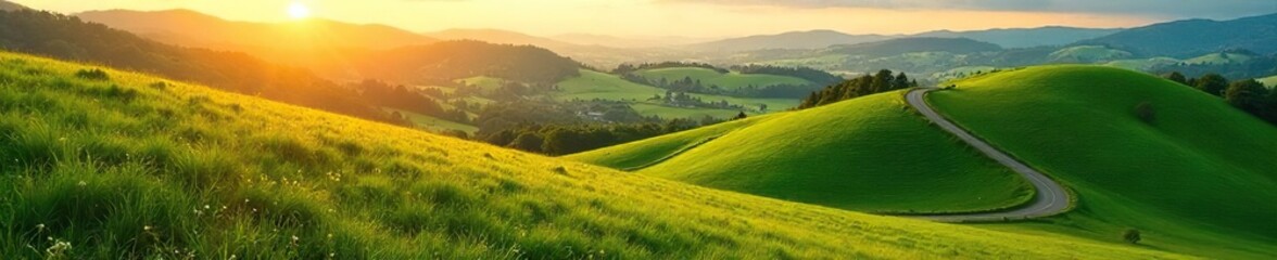 Serene landscape featuring multiple winding lanes through lush green fields and rolling hills, bathed in golden sunlight Perfect for travel, nature, and rural themes , lanes, breathtaking, vibrant