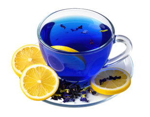 Refreshing mint tea in clear cup on moody black background