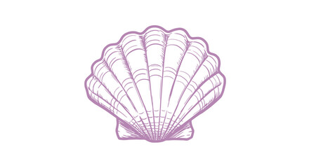 Elegant seashell illustration pink outline.