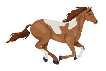 American paint horse side view. Vector running animal or equine movement. APHA equestrian gallop or gait. Mammal with hoof and mane. Mare or mustang, stallion motion icon. Sport broodmare emblem.