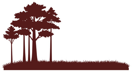 a serene forest scene with tall trees and grassy ground